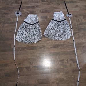 Black and White Dog Wedding Dresses